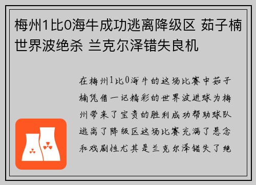 梅州1比0海牛成功逃离降级区 茹子楠世界波绝杀 兰克尔泽错失良机